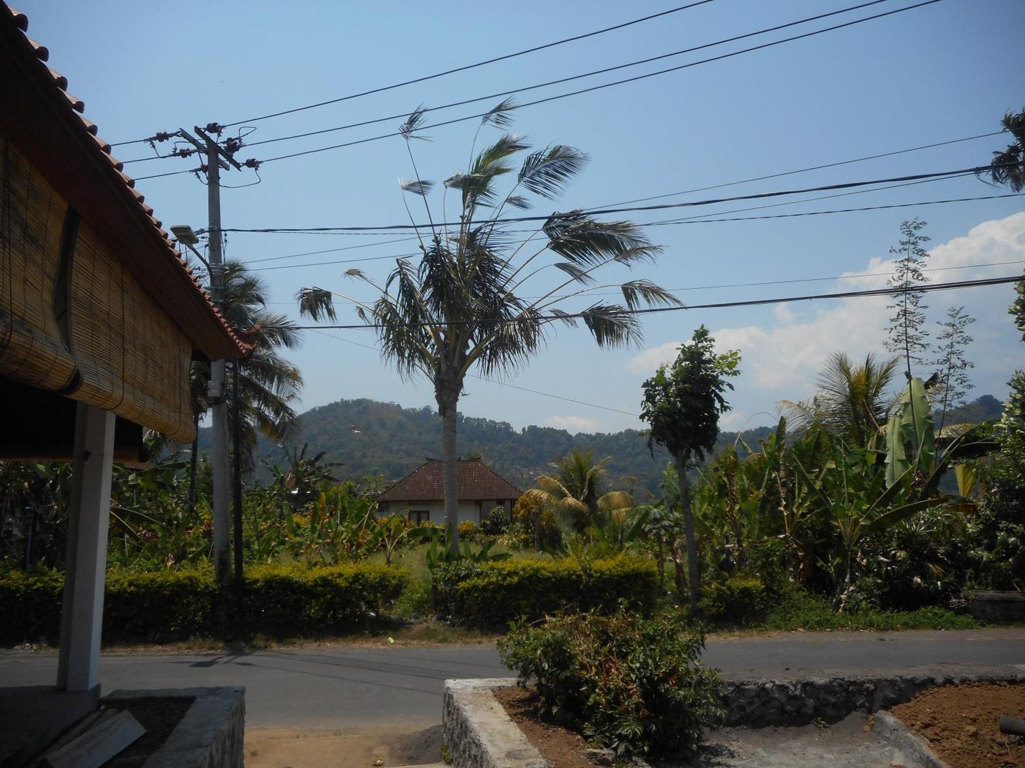 Lila Stana - Sidemen Homestay Exterior foto