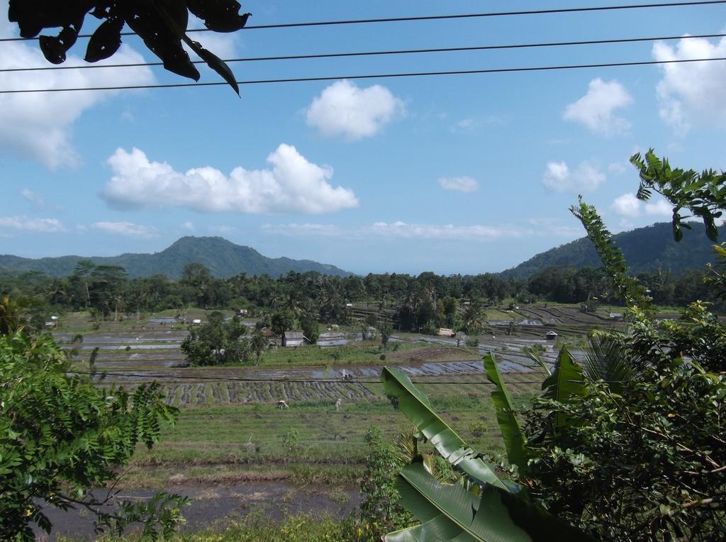 Lila Stana - Sidemen Homestay Exterior foto